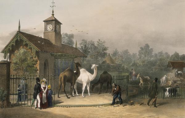 View of the Zoological Gardens 1835